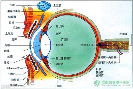 眼睛黄斑病变的症状和治疗- 成都普瑞复杂疑难